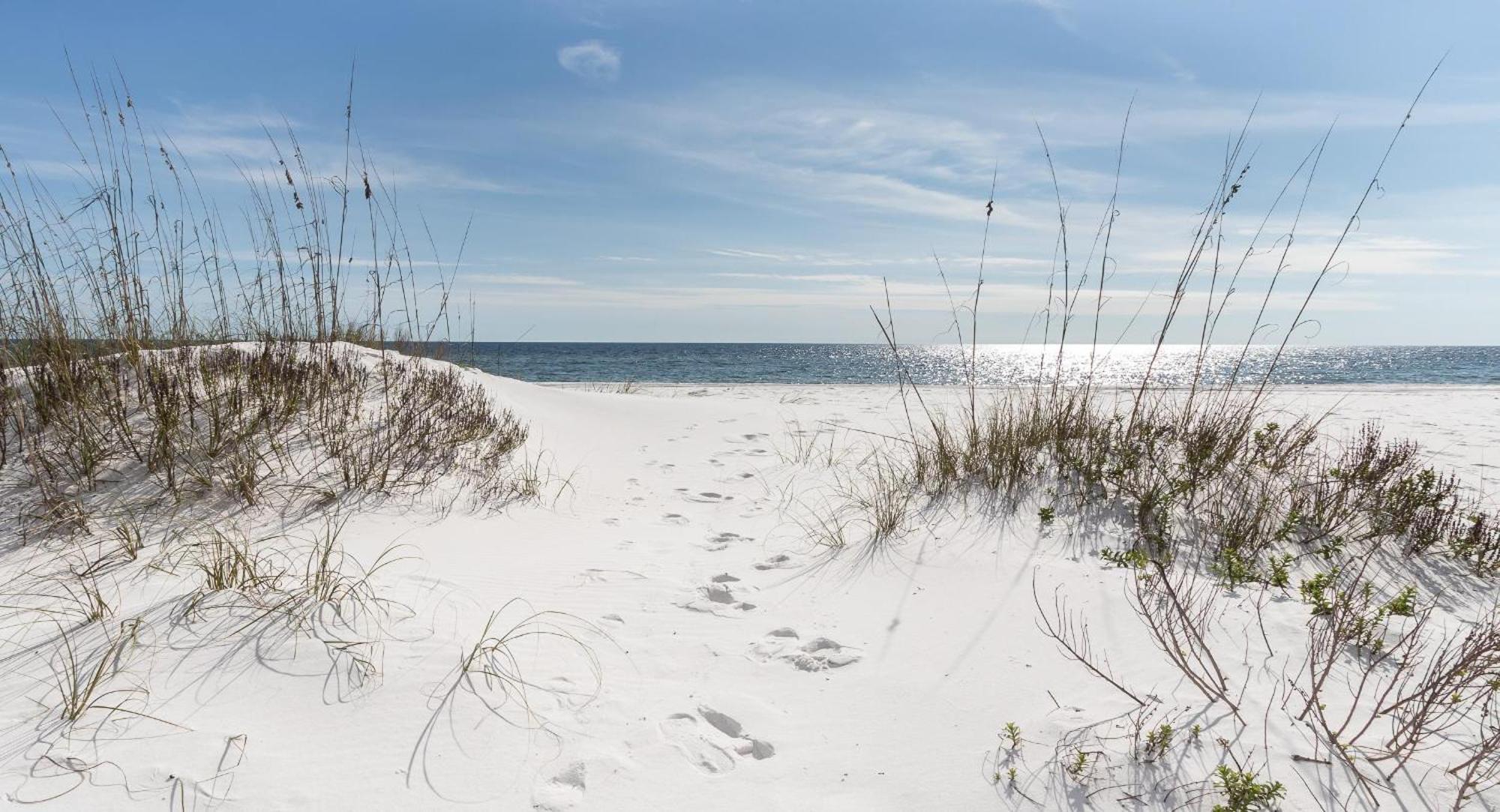 Nautilus 1201 - Gulf Front 2 Bedroom Huge Wrap Around Balcony 2Nd Floor! Fort Walton Beach Exterior photo