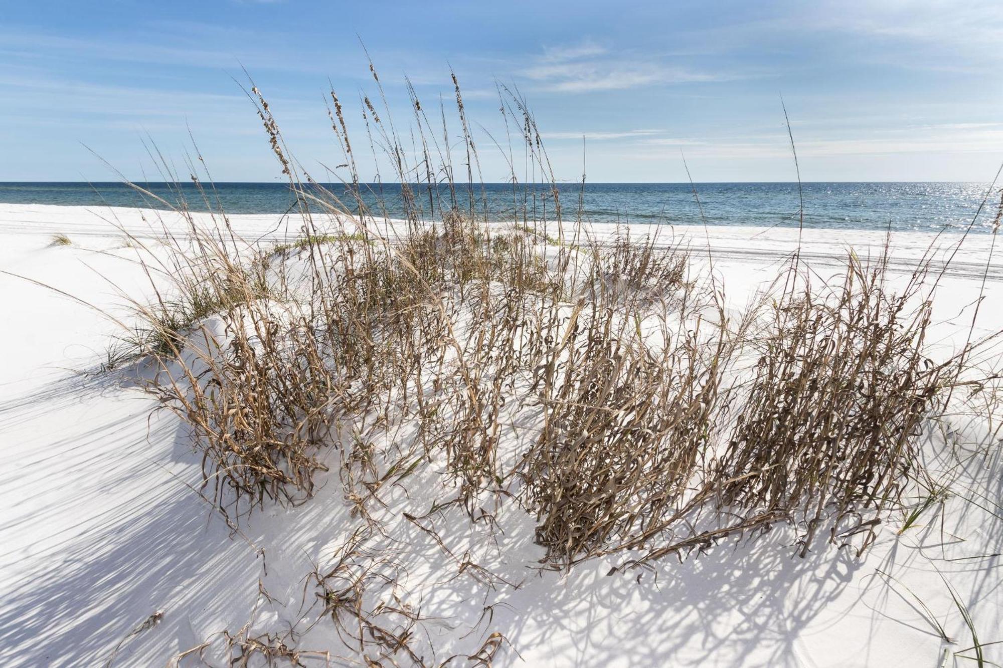Nautilus 1201 - Gulf Front 2 Bedroom Huge Wrap Around Balcony 2Nd Floor! Fort Walton Beach Exterior photo